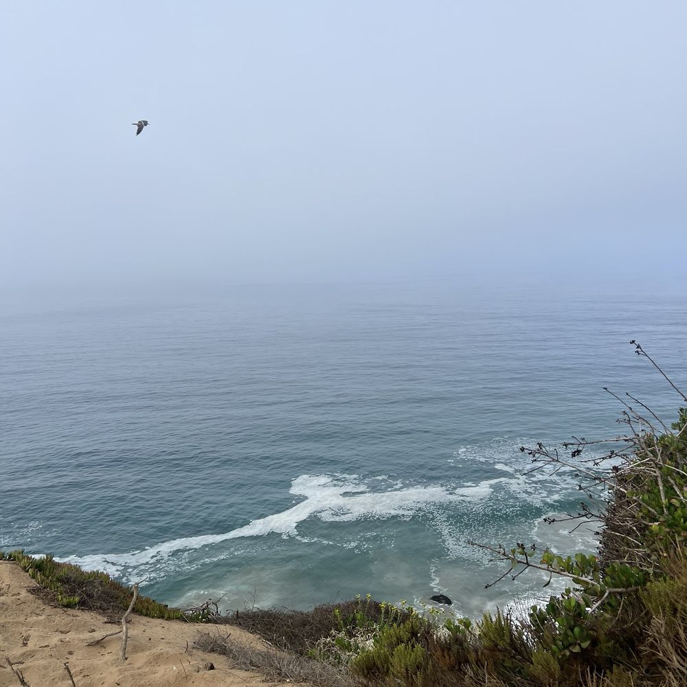 Point Dume Natural Preserve - Hiking Near Me - Malibu, California Point Dume Natural Preserve - Hiking Near Me - Malibu, California