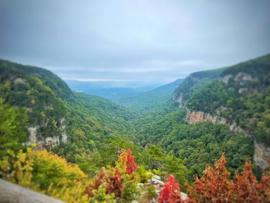 Cloudland Canyon State Park by null