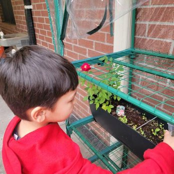 Big Blue Marble Academy Cinco Ranch - Our PreK class checking on our flower garden we started as we learn about photosynthesis and what plants need to survive. - Child Care & Day Care Near Me - Katy, Texas