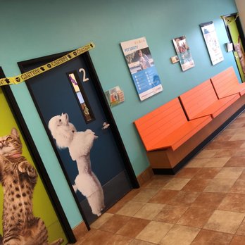PetSmart - Pet Stores Near Me - Houston, Texas