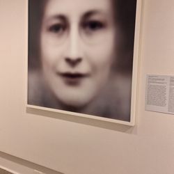 Rollins Museum of Art
