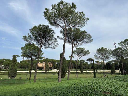 Villa Borghese by null