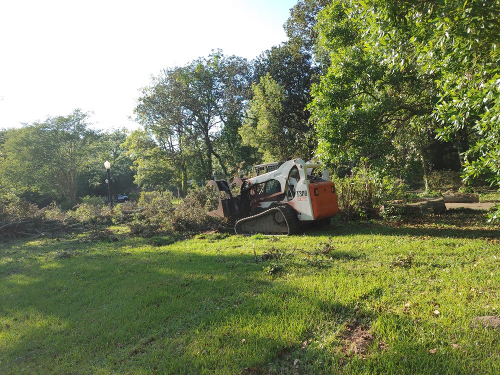 Pelican Tree Care - tree service in Baton Rouge, LA