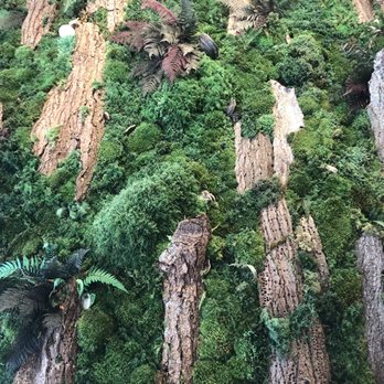 Perfecto Cafe - Live green wall - Cafes Near Me - Vancouver, British Columbia Perfecto Cafe - Live green wall - Cafes Near Me - Vancouver, British Columbia