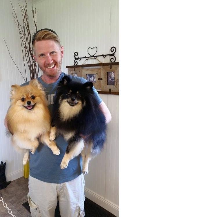 PET TAILS GROOMING SPA Updated August 2024 2420 Lincoln Road