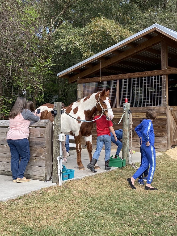 HAILE EQUESTRIAN CENTER 109 Photos 7680 SW 46th Blvd, Gainesville
