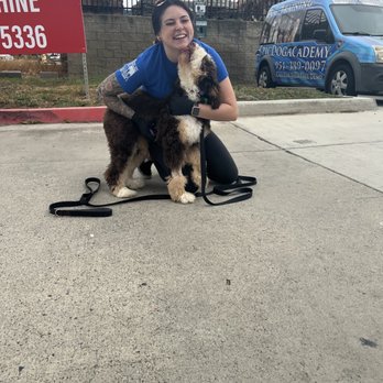 Epic Dog Academy - Pet Training Near Me - Temecula, California