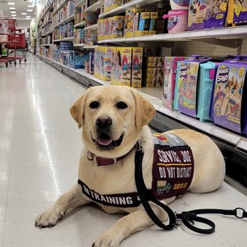 Ridgeview Labradors - Pet Training Near Me - Elkader, Iowa Ridgeview Labradors - Pet Training Near Me - Elkader, Iowa