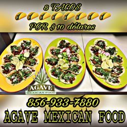 Agave