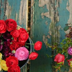 Addy's Flower Farm