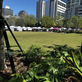 Huizenga Park - Great field for a picnic - Parks Near Me - Fort Lauderdale, Florida