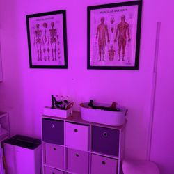 Detox Massage & Stretch Therapy