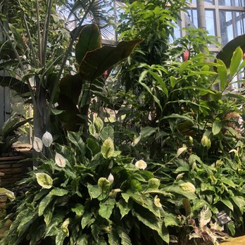 Anna Scripps Whitcomb Conservatory - Botanical Gardens Near Me - Detroit, Michigan Anna Scripps Whitcomb Conservatory - Botanical Gardens Near Me - Detroit, Michigan