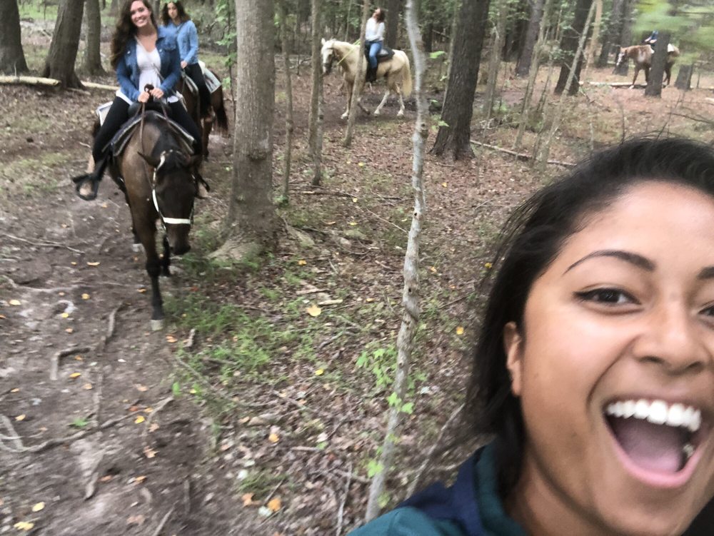 Liberty Hall Horse Farm - equestrian in Marionville, VA
