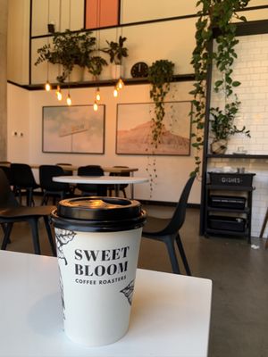 Sweet Bloom Coffee by null