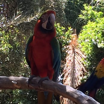 Wildlife Learning Center - Zoos Near Me - Sylmar, California Wildlife Learning Center - Zoos Near Me - Sylmar, California