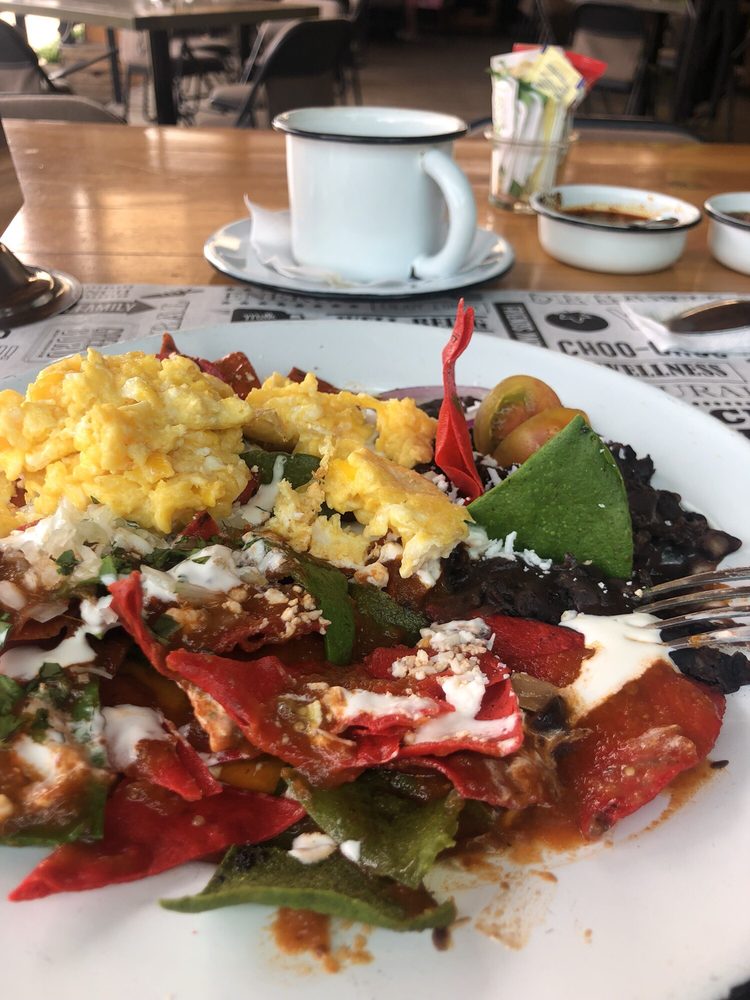 GREEN GURU Updated April 2024 Villas 228, Irapuato, Guanajuato