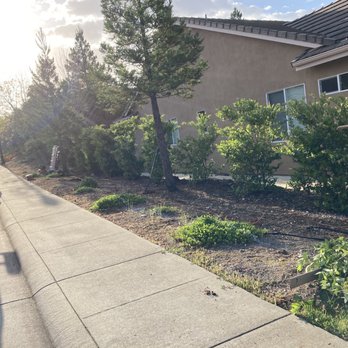 Build Rite Construction - Removing old fence - Fences & Gates Near Me - Elk Grove, California