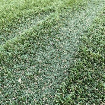 Sunturf - Burned SunTurf - Artificial Turf Near Me - Simi Valley, California