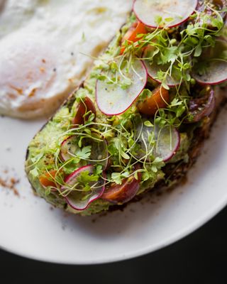 Cane & Canoe by null