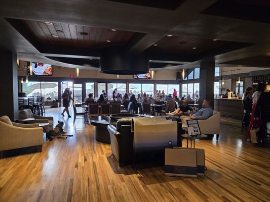 Willamette Valley Vineyards by null