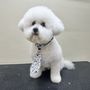 Photo of Woof Grooming