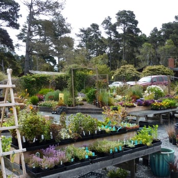 North Star Nursery - Nurseries & Gardening Near Me - Fort Bragg, California