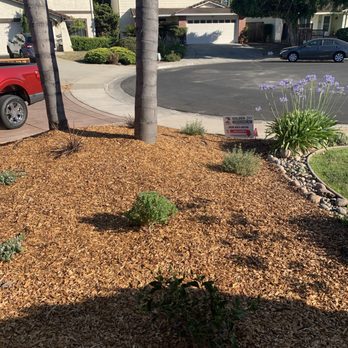 Golden Sky Landscape - Final front pic - Landscaping Near Me - San Jose, California