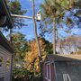 Photo of Trinity Tree Experts & Landscaping