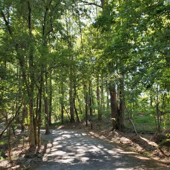 Alexander Park - Tree-lined trails - Disc Golf Near Me - Lawrenceville, Georgia