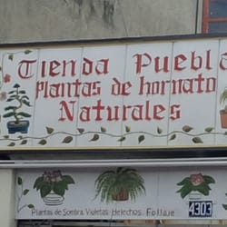Plantas de Hornato Naturales - El estacionamiento es en la calle, tienes que estar pendiente de no pasarte pues la calle es bastante concurrida.