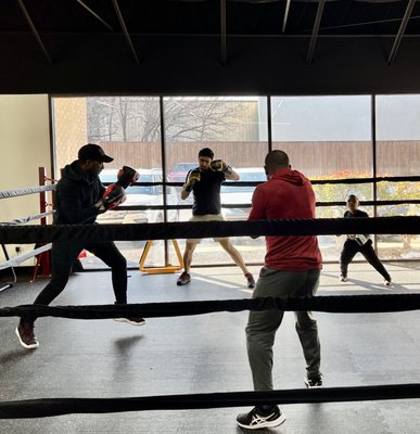 Brave Boxing Club by null