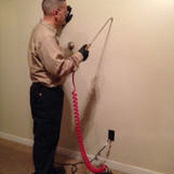 Castle Extermination Company - Treating carpenter ants nest in wall void - Pest Control Near Me - Methuen, Massachusetts Castle Extermination Company - Treating carpenter ants nest in wall void - Pest Control Near Me - Methuen, Massachusetts