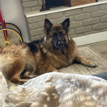 Diamond Oaks Ranch - Pet Sitting Near Me - Murrieta, California
