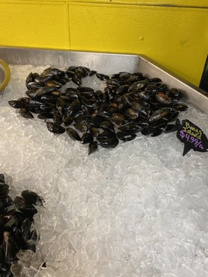 Free Range Fish & Lobster by null