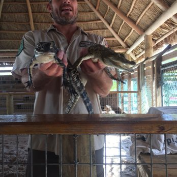 gator park - Boat Tours Near Me - Miami, Florida gator park - Boat Tours Near Me - Miami, Florida