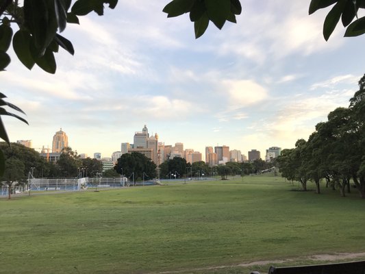 Prince Alfred Park by null