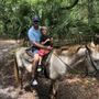 Photo of Lakeside Stables & Boat Rentals