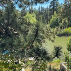 Noon Lodge at Mallard Bay - View from upstairs balcony