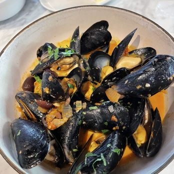 Toulouse Cafe and Bar - Mussels provencale - French Near Me - Dallas, Texas Toulouse Cafe and Bar - Mussels provencale - French Near Me - Dallas, Texas