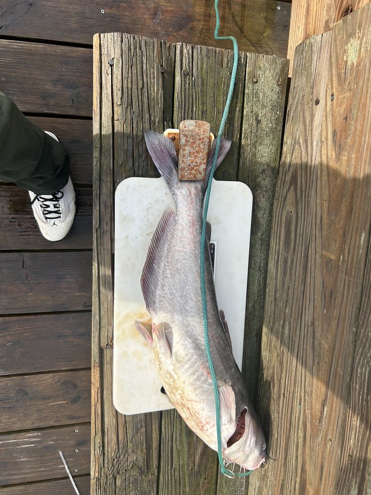 KINGS LANDING PARK Updated September 2024 36 Photos 3255 Kings