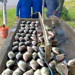 I’m your Huckleberry Outfitters - Crappie Fishing with Im your huckleberryLLC