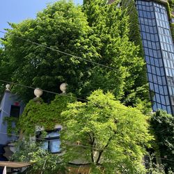 Hundertwasserhaus - Hundertwasserhaus