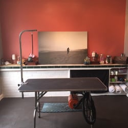 Misfitt Mutts Pet Services - The grooming station