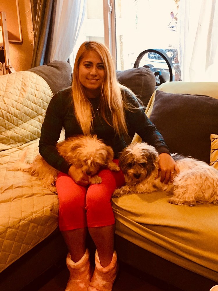 JESSY’S DOGGIE DAYCARE 104 Photos Las Vegas, NV Yelp