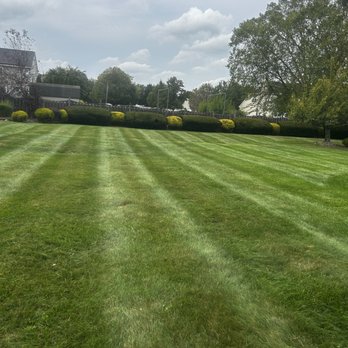 Ever & C Landscaping Services - Landscaping Near Me Ever & C Landscaping Services - Landscaping Near Me