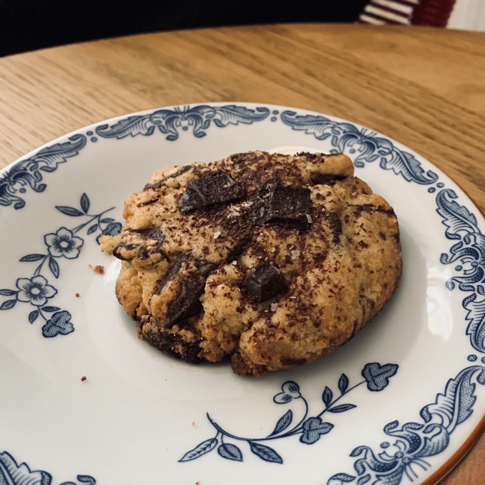 Do Not Feed Alligators - Chocolate Chip Cookie - Bookstores Near Me - New York, New York Do Not Feed Alligators - Chocolate Chip Cookie - Bookstores Near Me - New York, New York