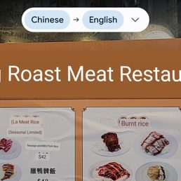Thank the universe for Google translate