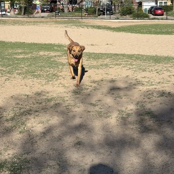 Stapleton Dog Park - Dog Parks Near Me - Denver, Colorado