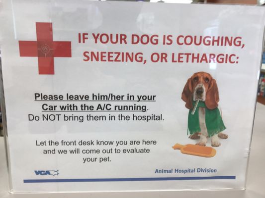 vca winchester animal hospital